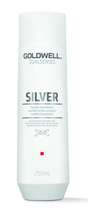Goldwell DS Silver Shampoo (250mL)