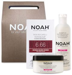 NOAH Gift Set Color Protective Shampoo & Hair Mask + Standard Hair Color 6.6
