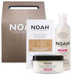 NOAH Gift Set Color Protective Shampoo & Hair Mask + Standard Hair Color 9
