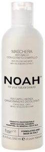 NOAH 2.6 Anti-Yellow Hair Mask with Blueberry Extract (250mL)