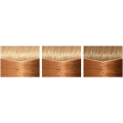 L'Oreal Paris Casting Creme Gloss Semi-Permanent Hair Color 834 Amber Blonde