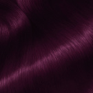 Garnier Olia Ammonia Free Permanent Hair Color 3.16