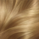 Garnier Olia Ammonia Free Permanent Hair Color 9.1